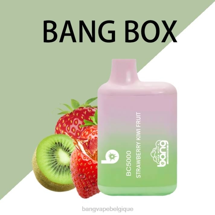 Bang Vape Box BC5000 Stylo 5% nic 5000 bouffées type-c rechargeable - D4XL9 Bang Vape Xxl Review jetable