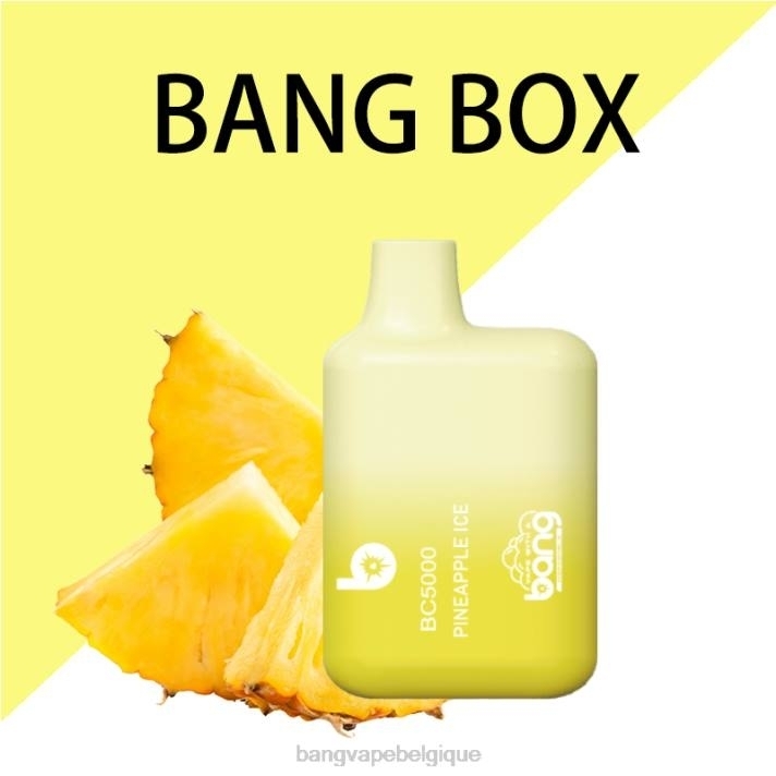Bang Vape Box BC5000 Stylo 5% nic 5000 bouffées type-c rechargeable - D4XL9 Bang Vape Xxl Review jetable