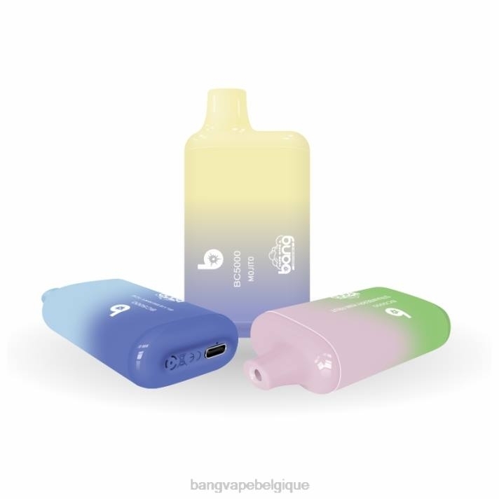 Bang Vape Box BC5000 Stylo 5% nic 5000 bouffées type-c rechargeable - D4XL9 Bang Vape Xxl Review jetable