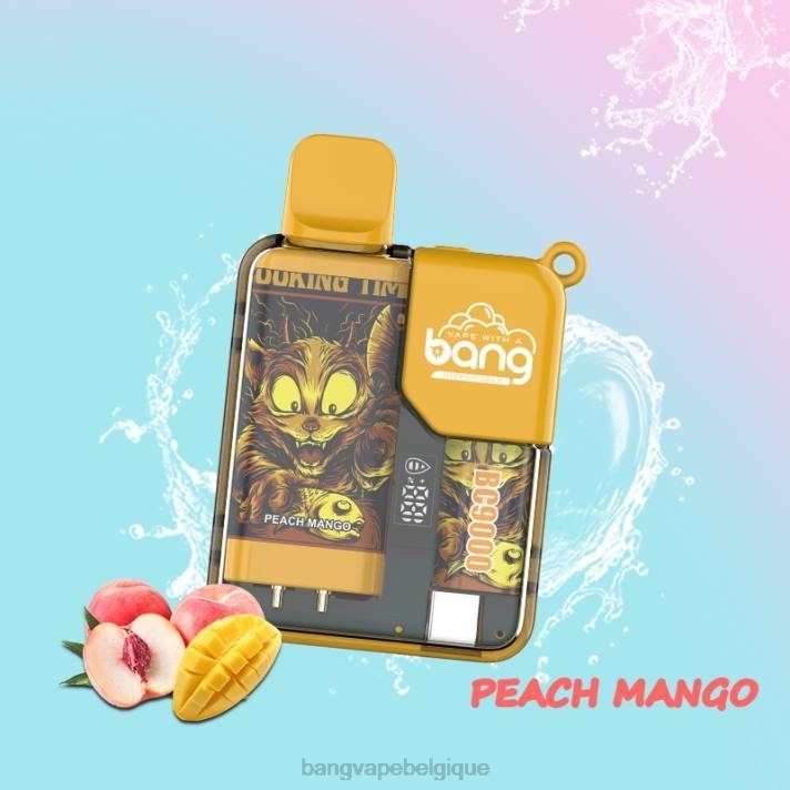 Bang Vape Box BC9000 prérempli 16 ml - D4XL6 Bang Box Vape Review jetable