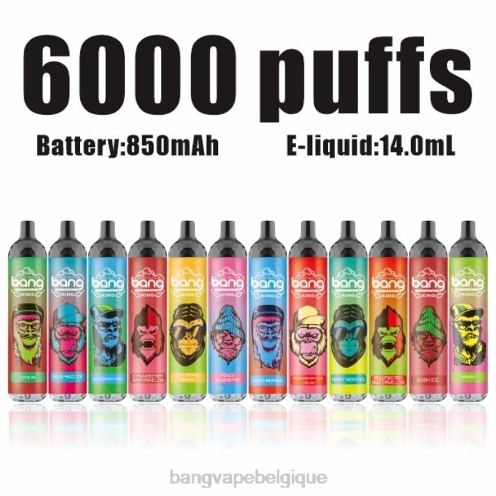 Bang Vape King 6000 bouffées 5% nic rechargeable type-c - D4XL8 Bang Disposable Vape Review jetable