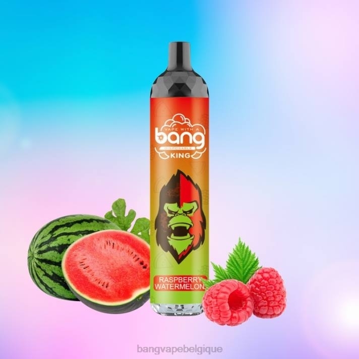 Bang Vape King 6000 bouffées 5% nic rechargeable type-c - D4XL8 Bang Disposable Vape Review jetable