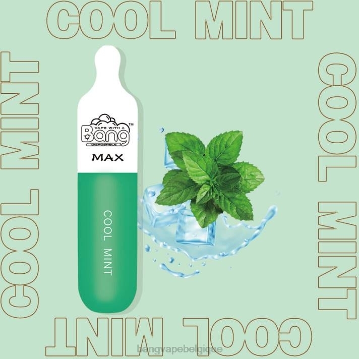 Bang Vape Max Barre de 5000 bouffées - D4XL10 Vape Gang Disposables jetable