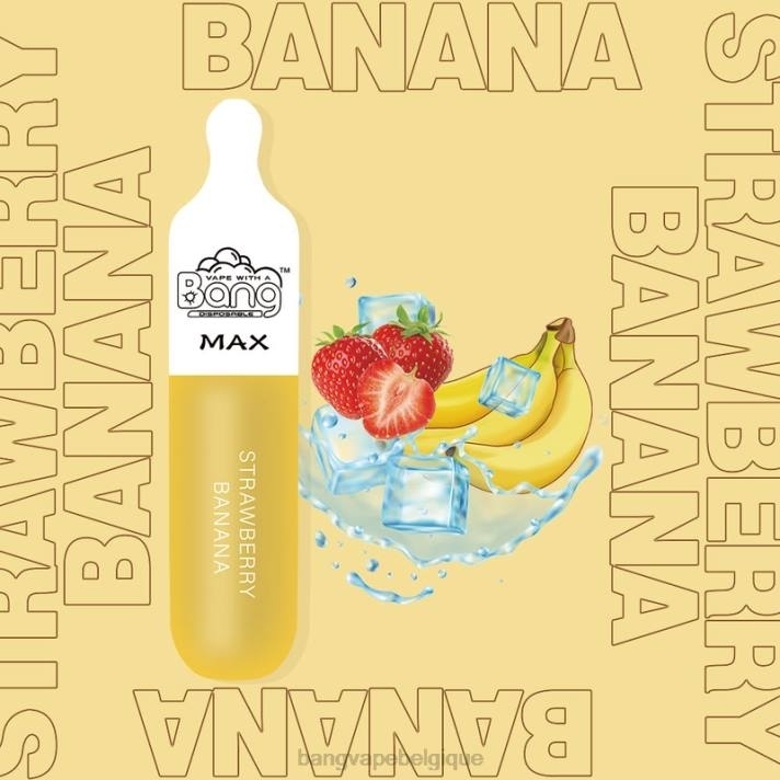 Bang Vape Max Barre de 5000 bouffées - D4XL10 Vape Gang Disposables jetable
