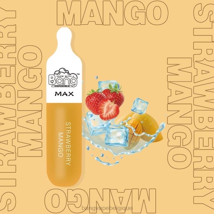 Bang Vape Max Barre de 5000 bouffées - D4XL10 Vape Gang Disposables jetable