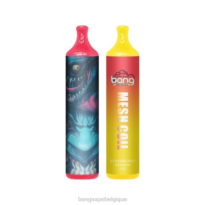 Bang Vape bobine de maille 3500 bouffées 2% nic - D4XL7 Bang Vape Review jetable