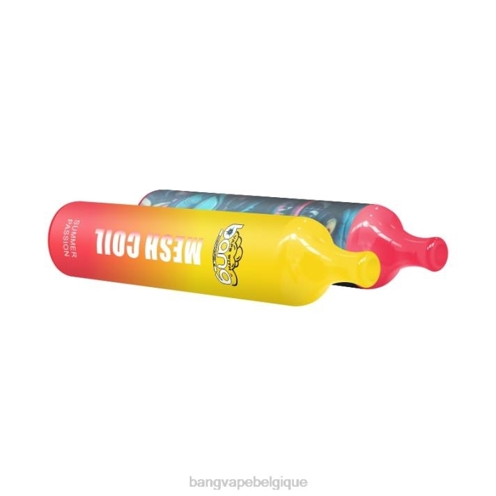 Bang Vape bobine de maille 3500 bouffées 2% nic - D4XL7 Bang Vape Review jetable