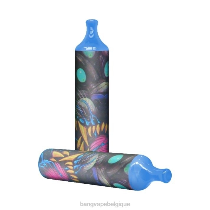 Bang Vape bobine de maille 3500 bouffées 2% nic - D4XL7 Bang Vape Review jetable