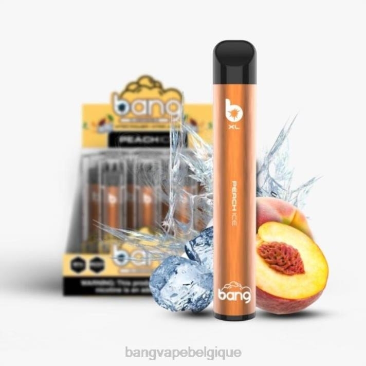 Bang Vape XL jetable - D4XL33 Bang Vape Bruxelles glace à la pêche
