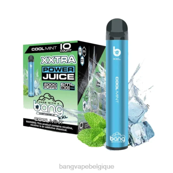 Bang Vape XXL 2000 bouffées - D4XL16 Bang Box Vape Review menthe fraîche