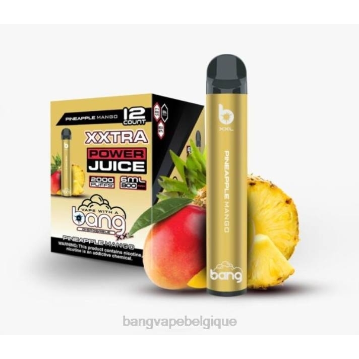 Bang Vape XXL 2000 bouffées - D4XL21 Vape Gang Belgique mangue ananas