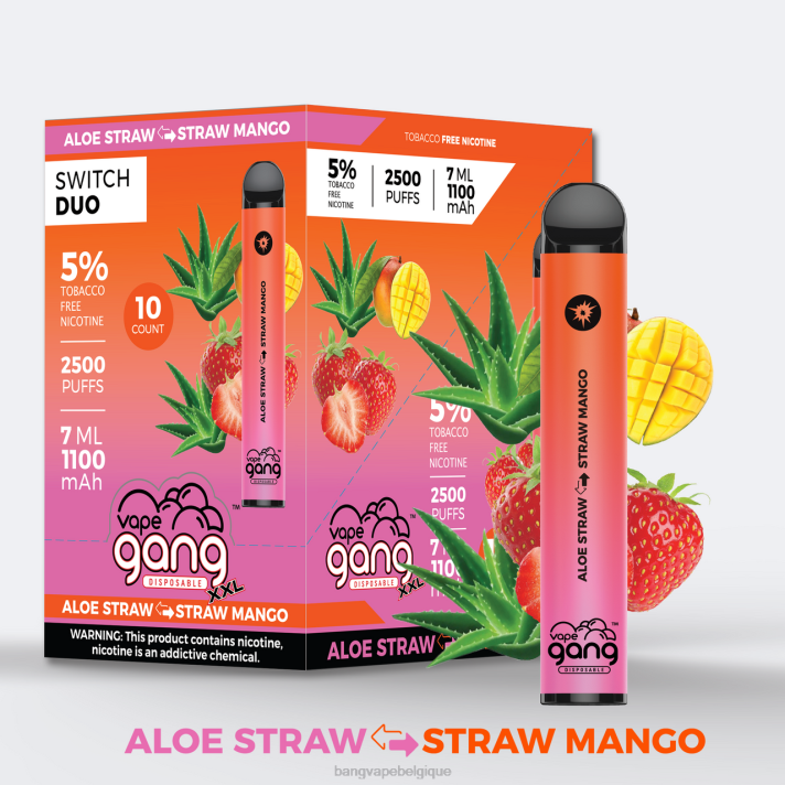 Vape Gang Switch Duo 2 saveurs (boîte de 10) - D4XL38 Bang Disposable Vape Review aloe fraise - fraise mangue