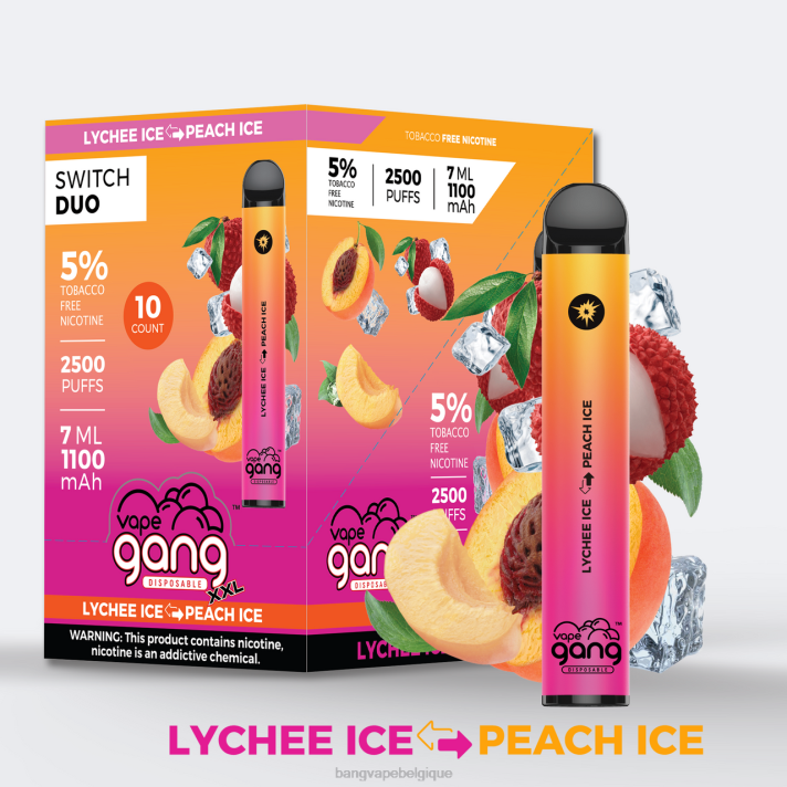 Vape Gang Switch Duo 2 saveurs (boîte de 10) - D4XL42 Bang Vape Belgique glace au litchi - glace à la pêche