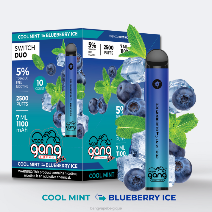 Vape Gang Switch Duo 2 saveurs (boîte de 10) - D4XL43 Bang Vape Bruxelles menthe fraîche - glace aux myrtilles