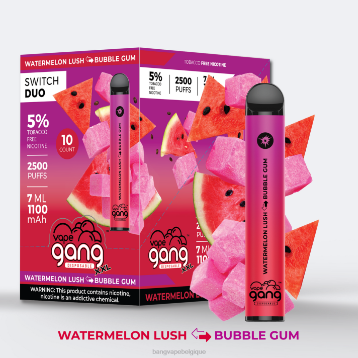 Vape Gang Switch Duo 2 saveurs (boîte de 10) - D4XL45 Gang Vape Price fraise pomme pastèque - fraise kiwi