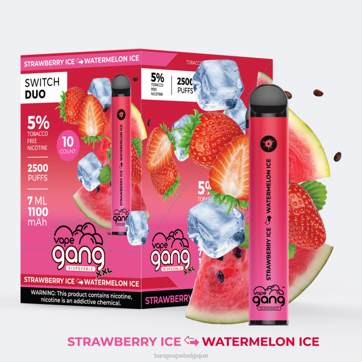 Vape Gang Switch Duo 2 saveurs (boîte de 10) - D4XL45 Gang Vape Price fraise pomme pastèque - fraise kiwi