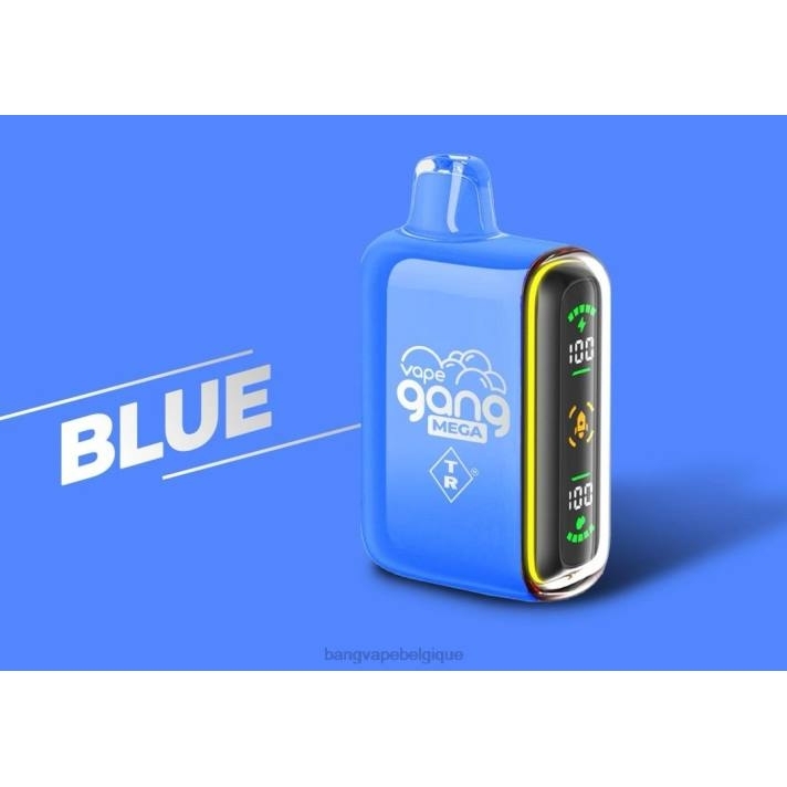 Vape Gang MEGA Vape jetable 20 000 bouffées (boîte de 5) - D4XL52 Vape Gang Belgique bleu