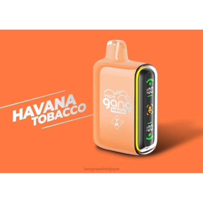 Vape Gang MEGA Vape jetable 20 000 bouffées (boîte de 5) - D4XL55 Bang Vape Bruxelles tabac de la Havane
