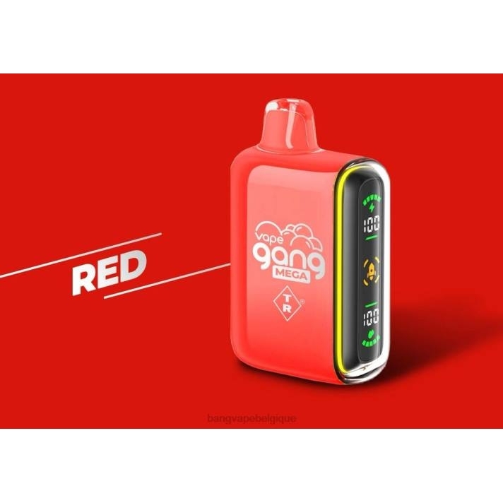 Vape Gang MEGA Vape jetable 20 000 bouffées (boîte de 5) - D4XL57 Gang Vape Price rouge