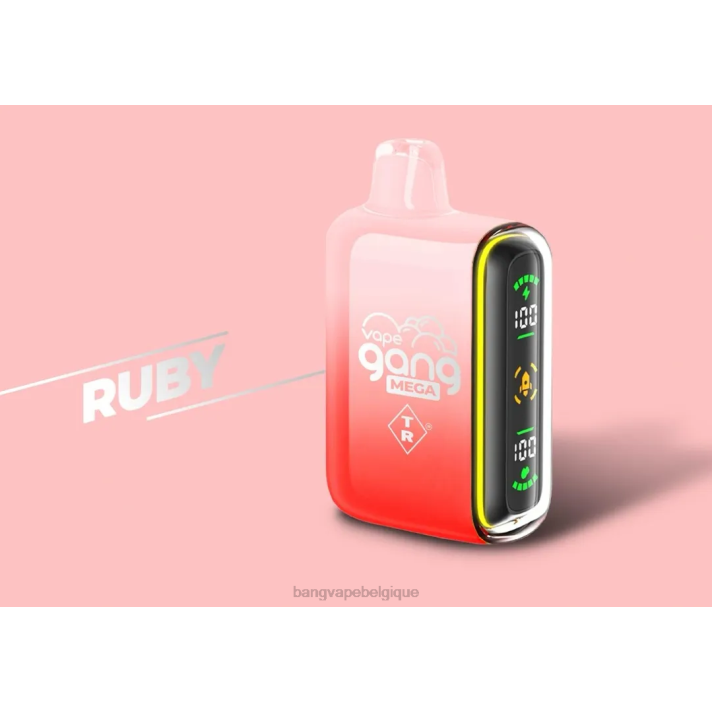 Vape Gang MEGA Vape jetable 20 000 bouffées (boîte de 5) - D4XL58 Bang Box Vape Review rubis