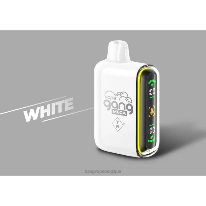 Vape Gang MEGA Vape jetable 20 000 bouffées (boîte de 5) - D4XL60 Bang Disposable Vape Review blanc