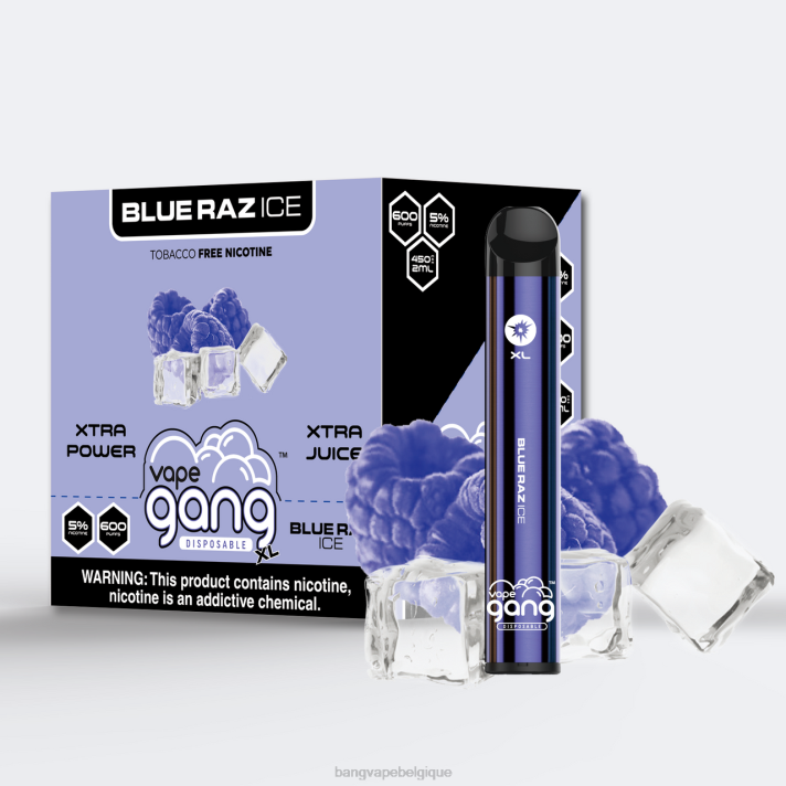 Vape Gang XL vapes jetables 600 bouffées (boîte de 10) - D4XL61 Bang Vape Xxl Review glace bleue