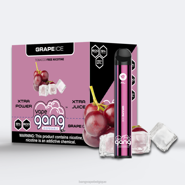Vape Gang XL vapes jetables 600 bouffées (boîte de 10) - D4XL62 Vape Gang Disposables glace aux raisins