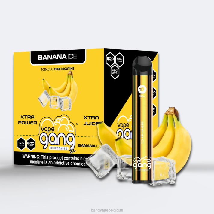 Vape Gang XL vapes jetables 600 bouffées (boîte de 10) - D4XL63 Vape Gang Belgique glace à la banane