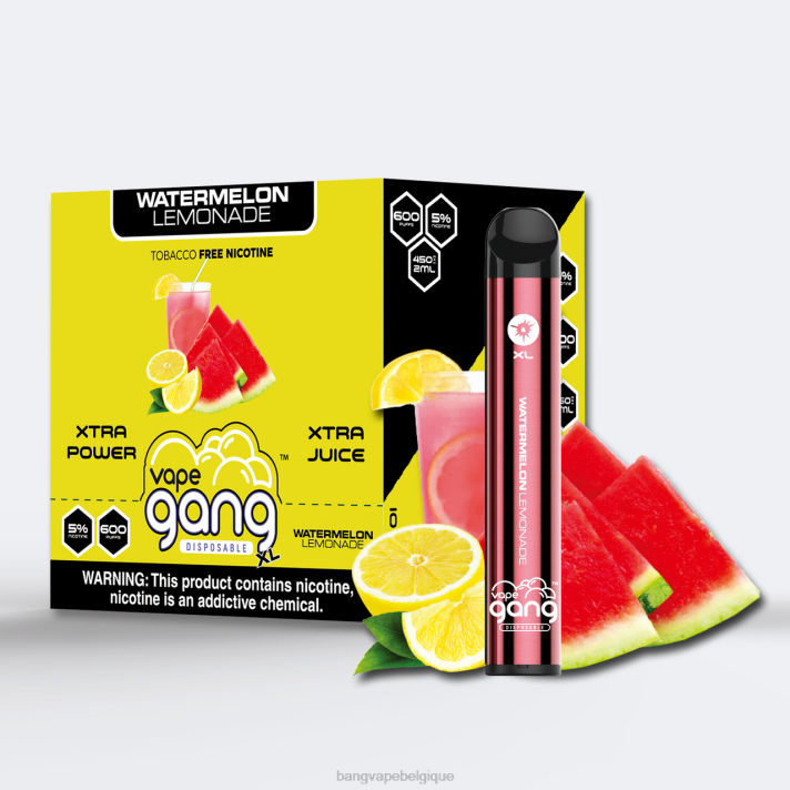 Vape Gang XL vapes jetables 600 bouffées (boîte de 10) - D4XL65 Bang Vape Bruxelles limonade à la pastèque