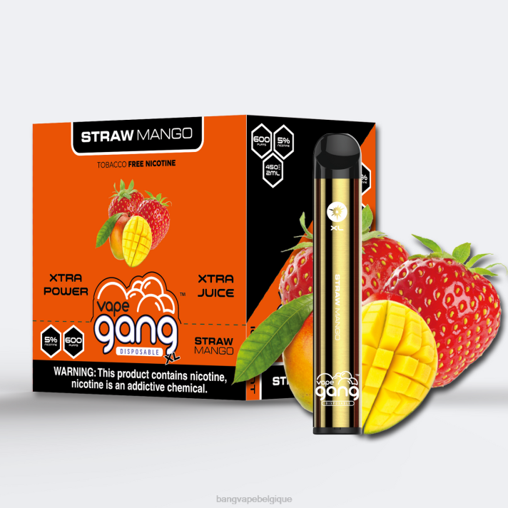 Vape Gang XL vapes jetables 600 bouffées (boîte de 10) - D4XL66 Vape Gang Shop mangue paille