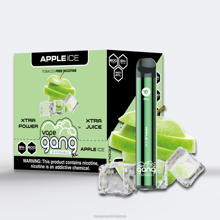 glace aux pommes