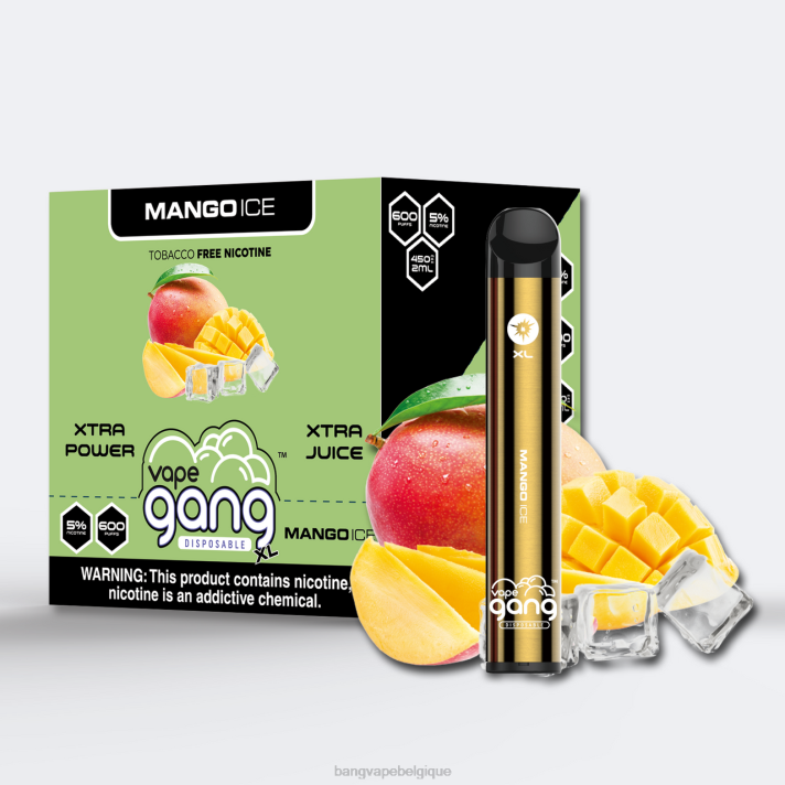 glace à la mangue