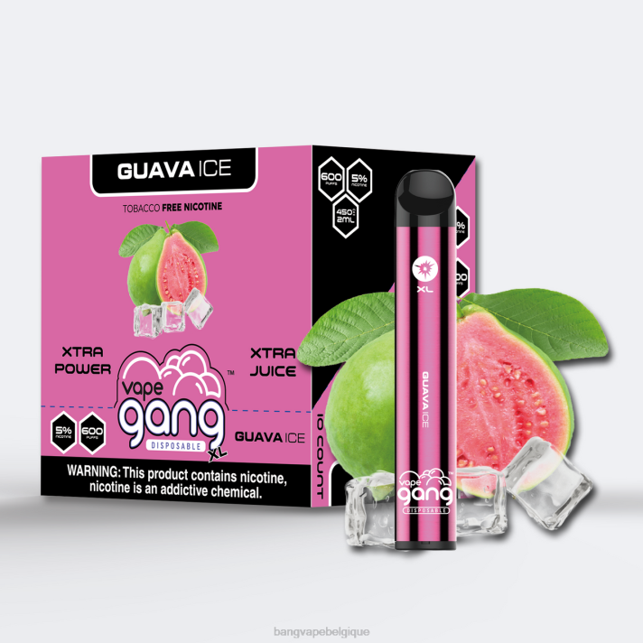 glace à la goyave