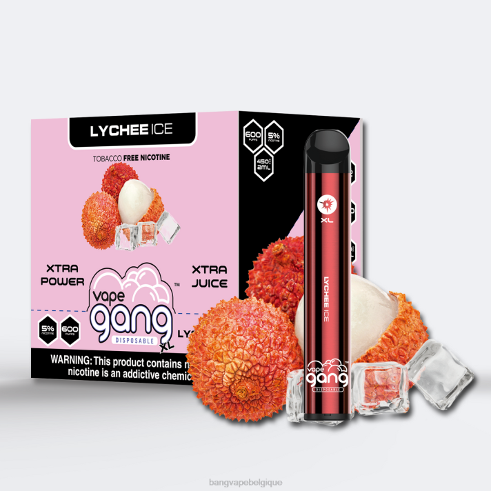 glace au litchi