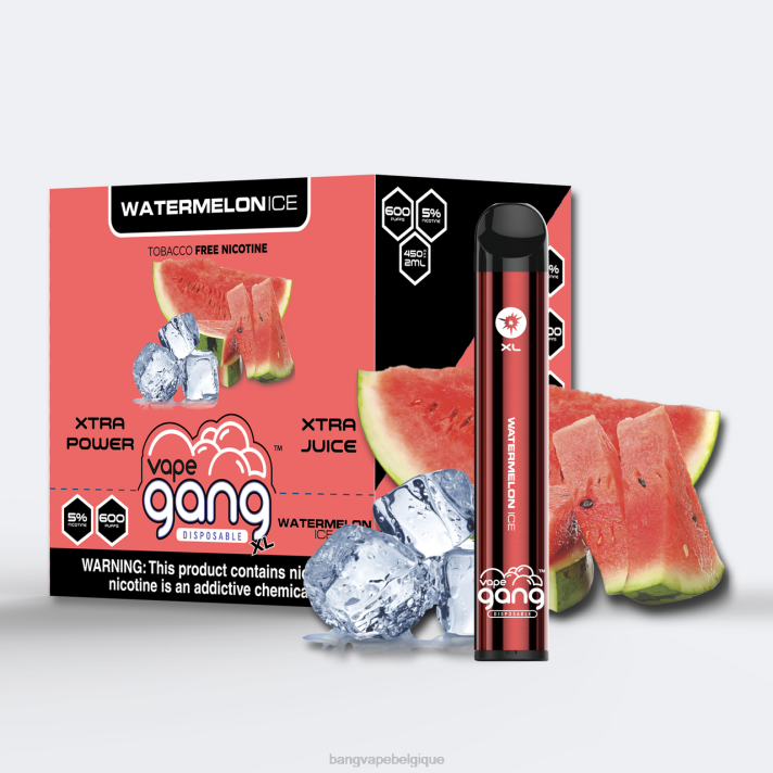 glace à la pastéque