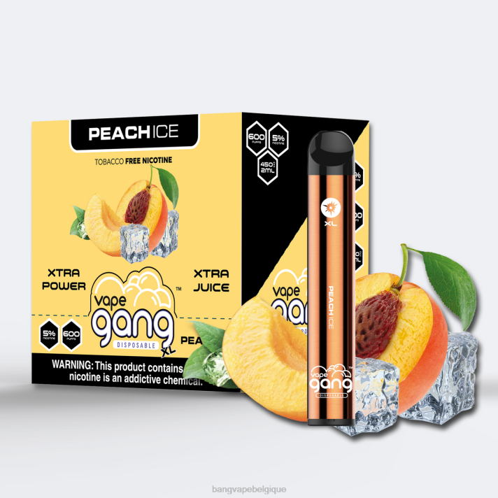 glace à la pêche