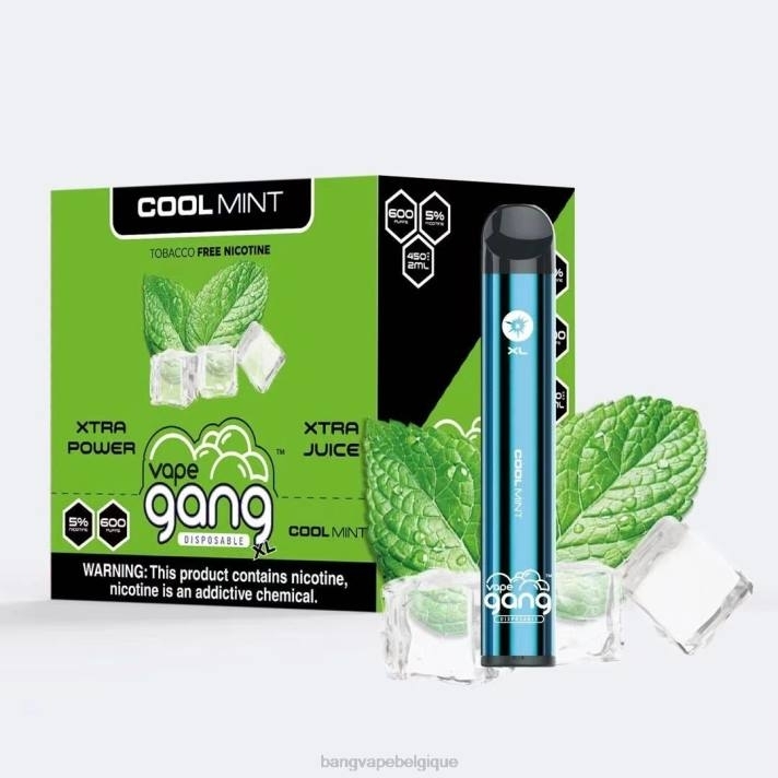 menthe fraîche